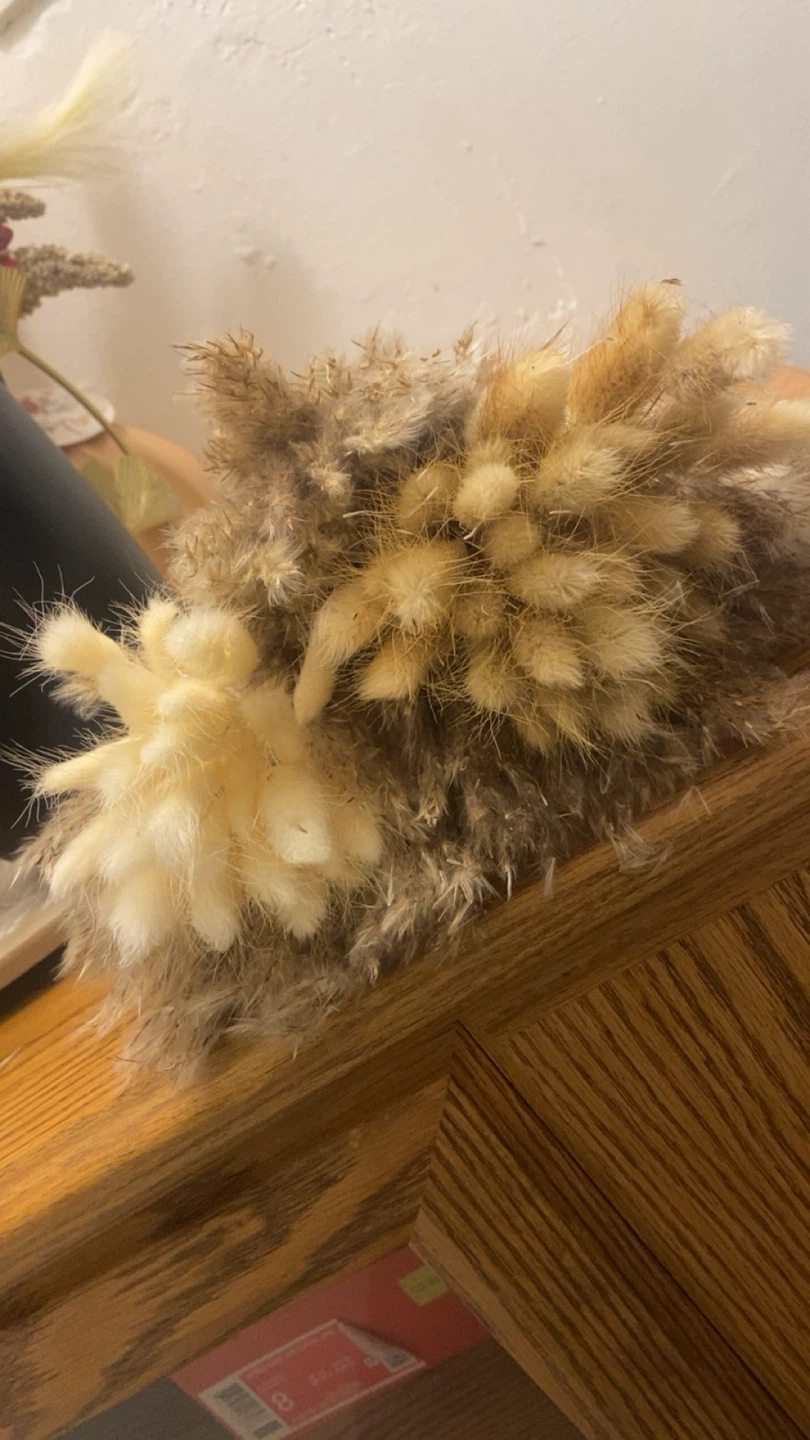 Dried Pampas Grass & Bunny Tail Flower Arrangement - photo 4