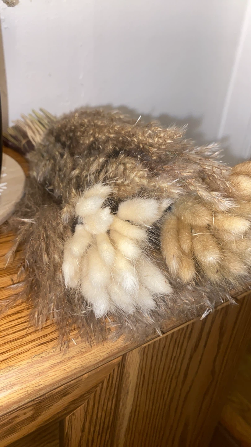 Dried Pampas Grass & Bunny Tail Flower Arrangement