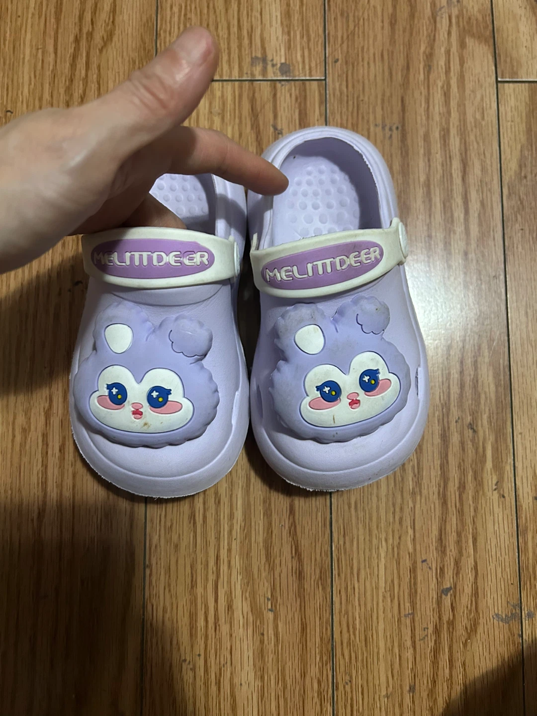 Purple Melittdeer Kids Clogs with Character
