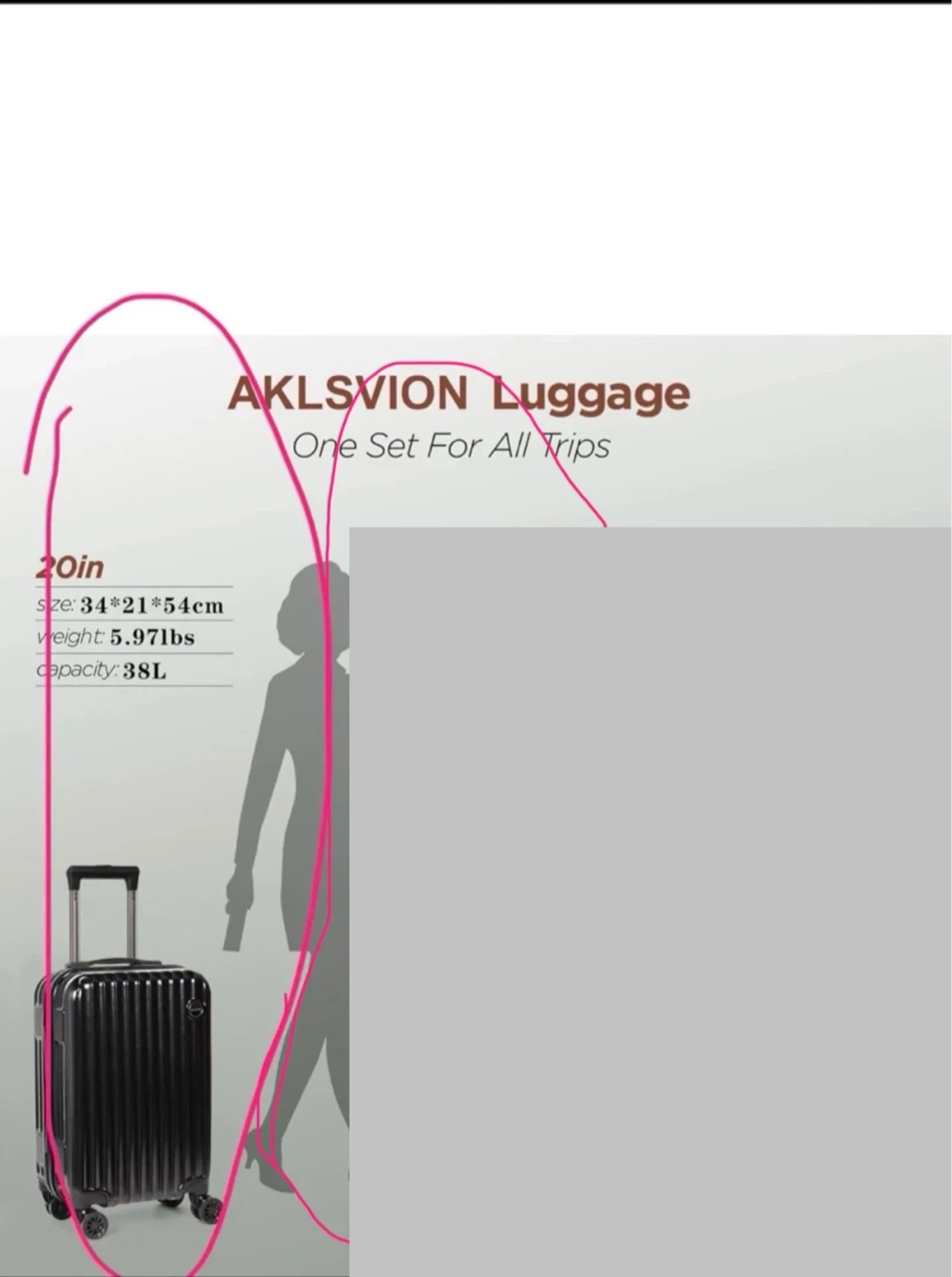 AkLSVION carry one