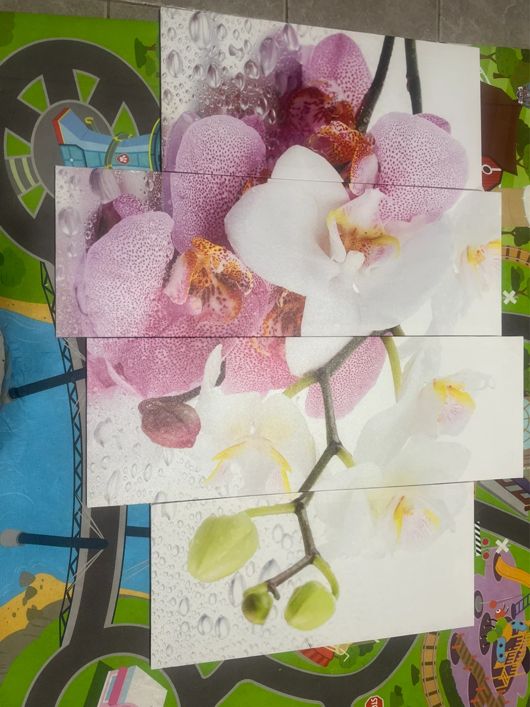 Set of 4 Orchid Flower Wall Art Prints