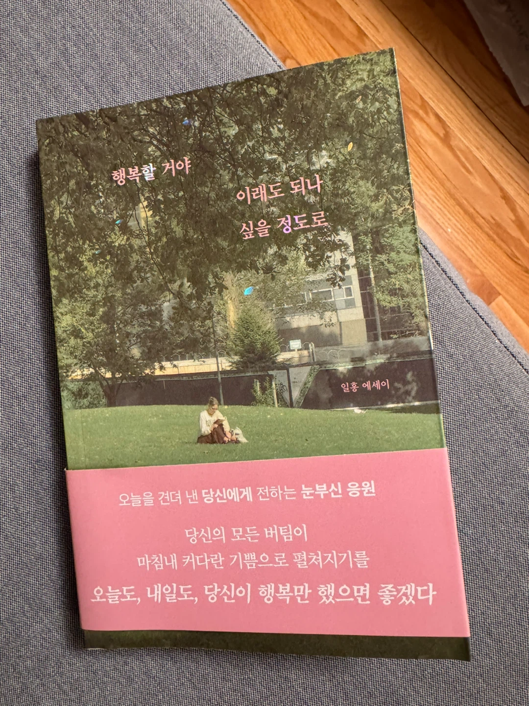Korean book. 행복할거야, 그래도 되나 싶을정도로 - 일홍