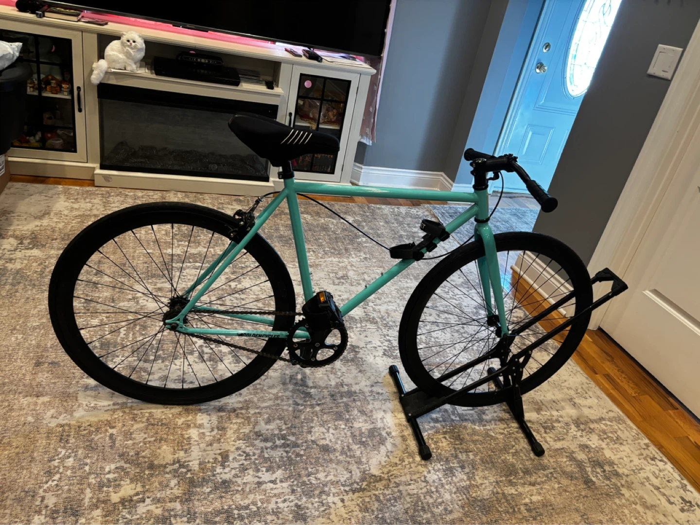 fixie - photo 3