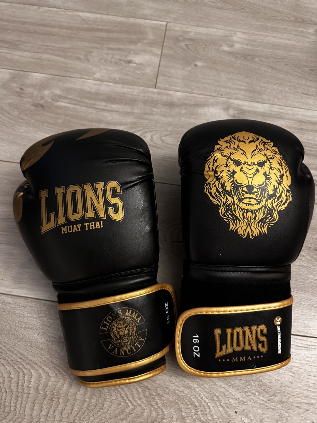 Boxing Gloves SET