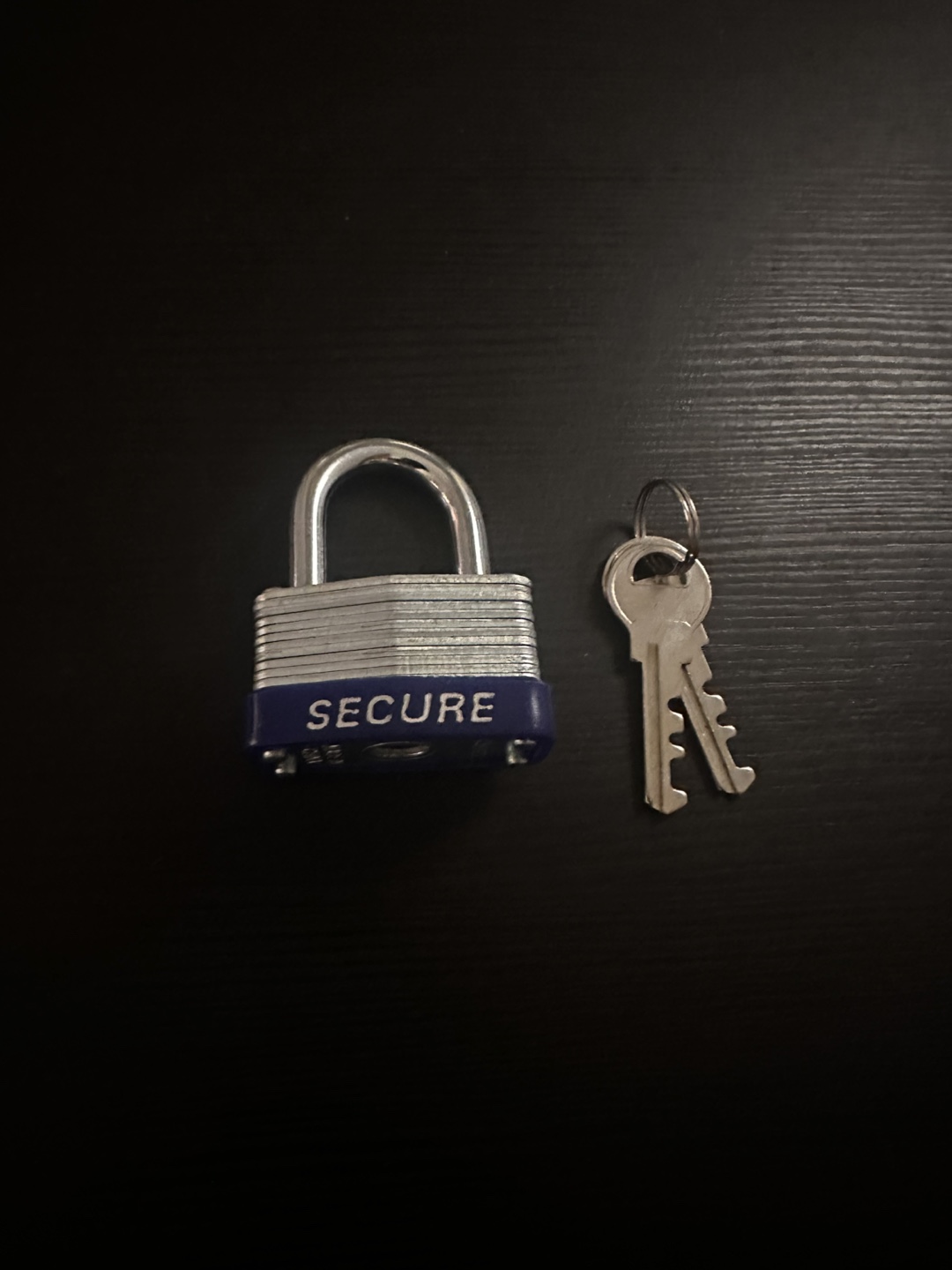 Secure Padlock with 2 Keys