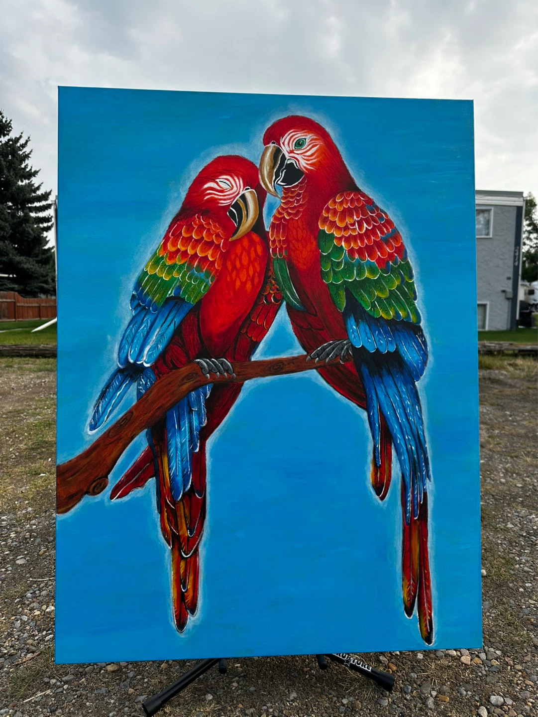 Painting of Two Macaws - photo 3
