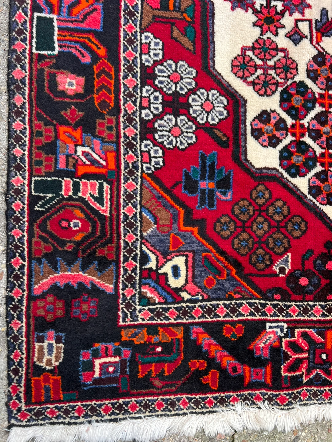 Persian Area Rug - Red, Black, White - photo 2