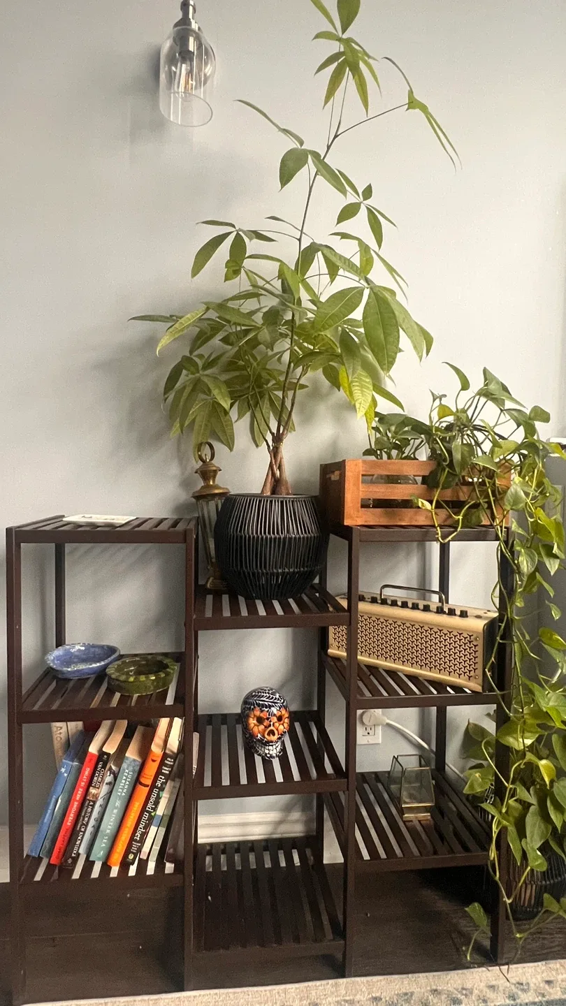Dark Brown 5-Tier Slatted Wood Plant Stand Shelf