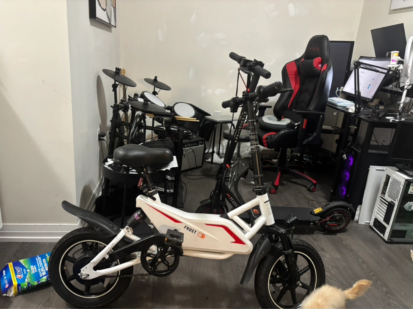 FROST Electric Bike