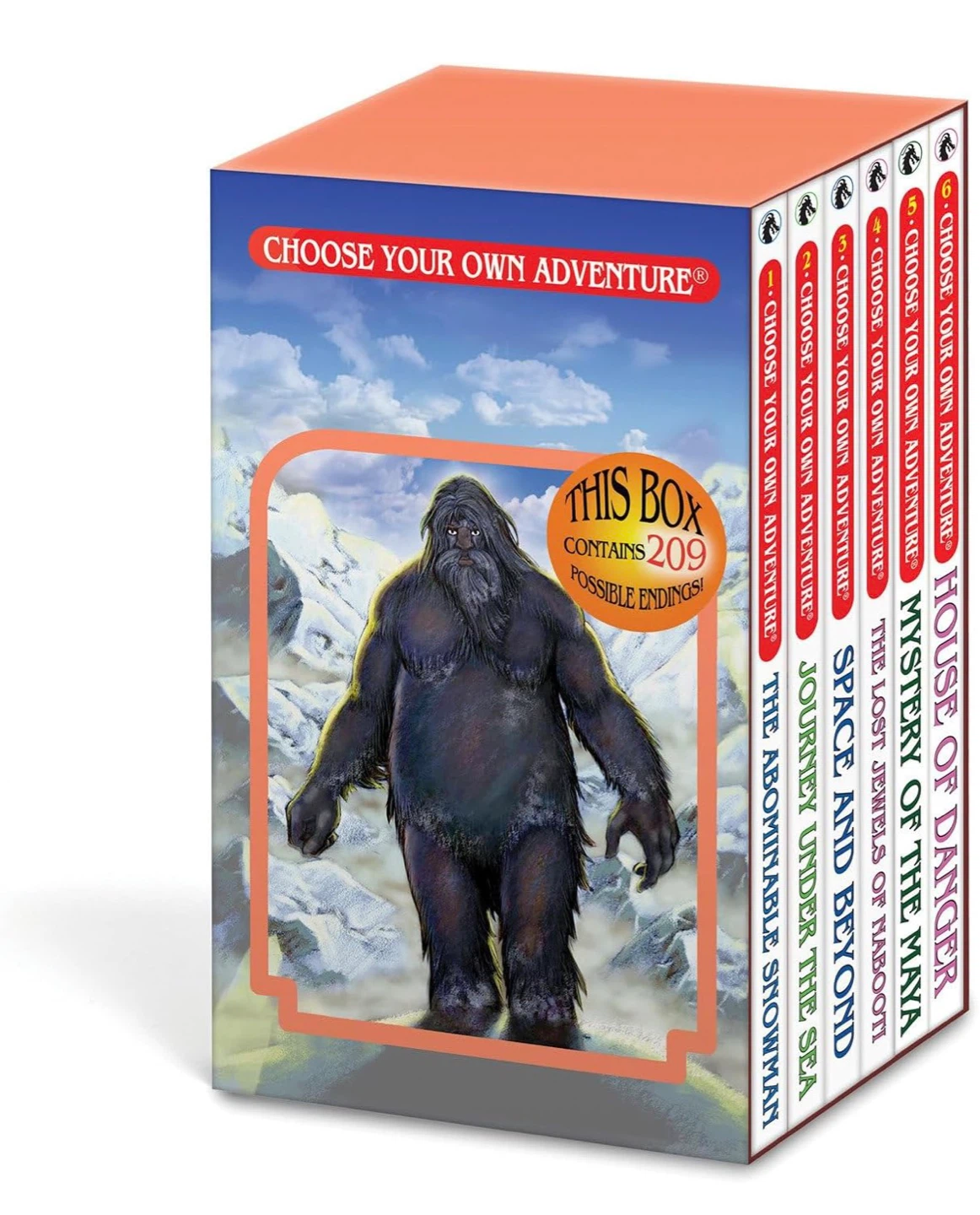 Choose Your Own Adventure Box Set Book 1-6