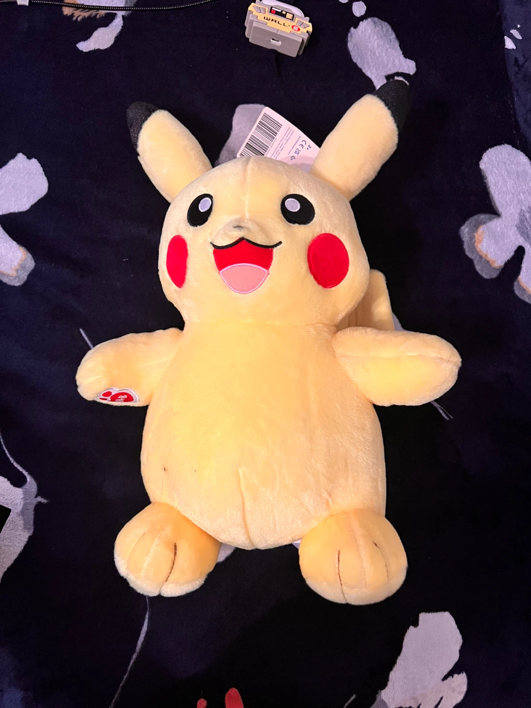Teddy Bear & Pikachu Plush