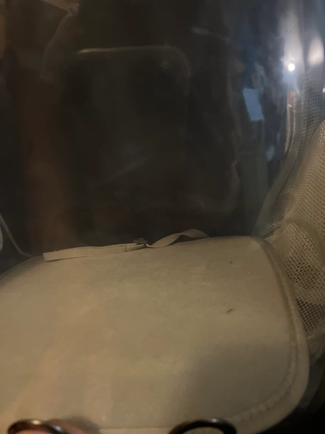 Clear Pet Carrier Backpack - photo 5