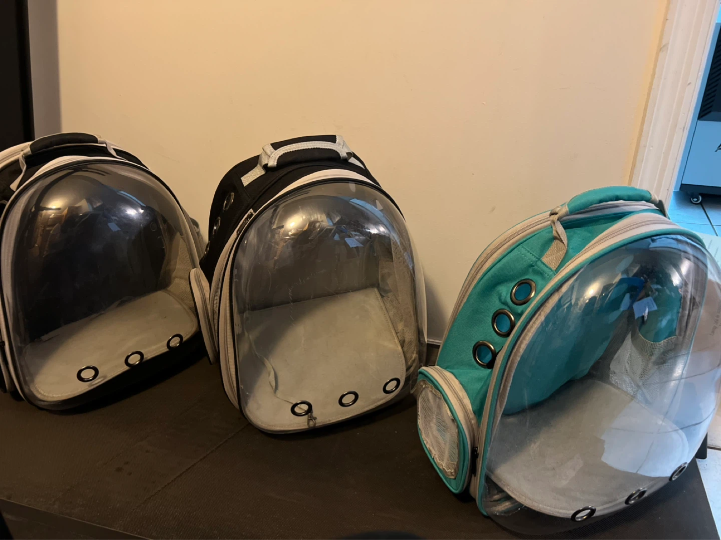 Clear Pet Carrier Backpack