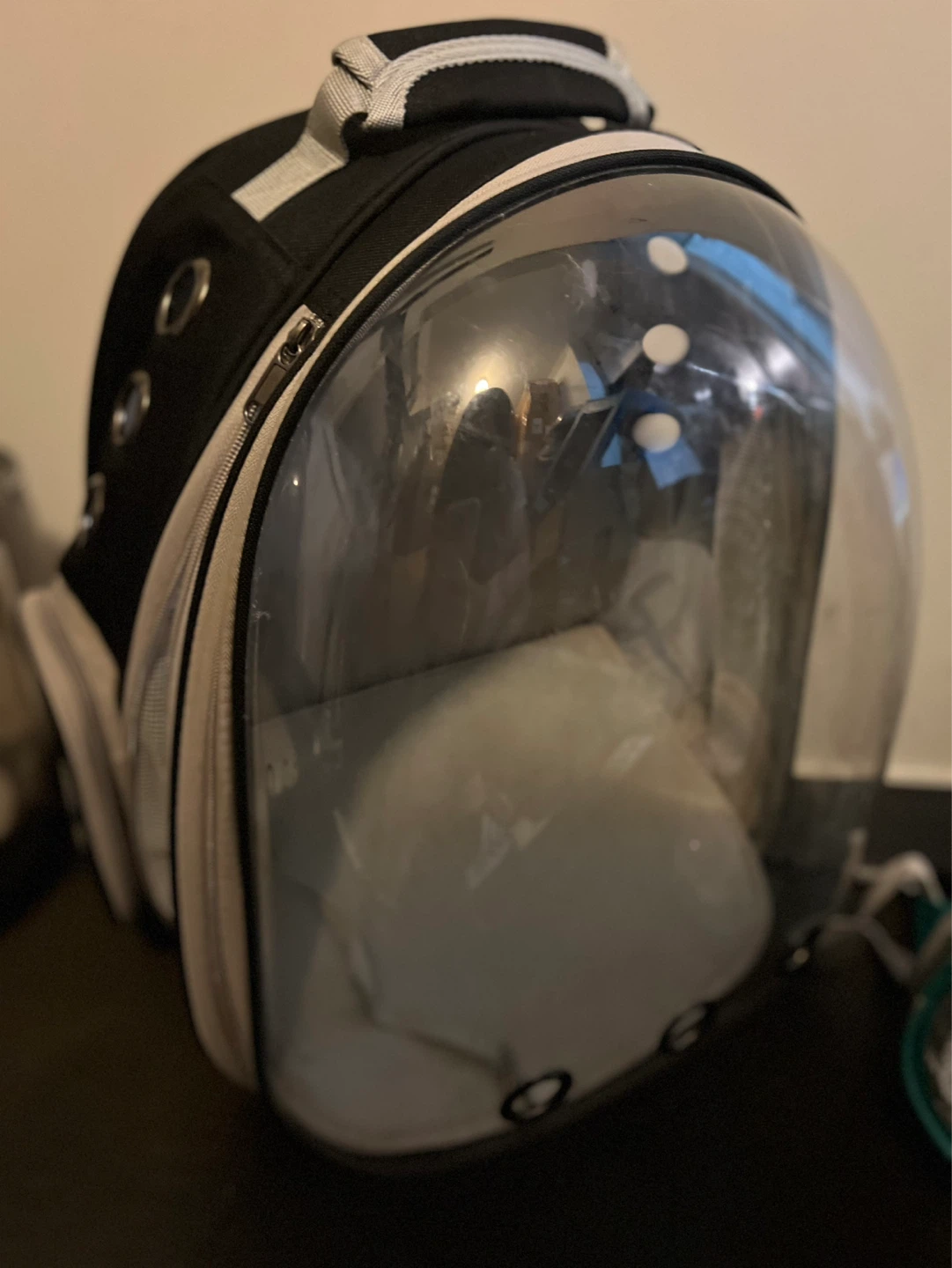 Clear Pet Carrier Backpack - photo 3