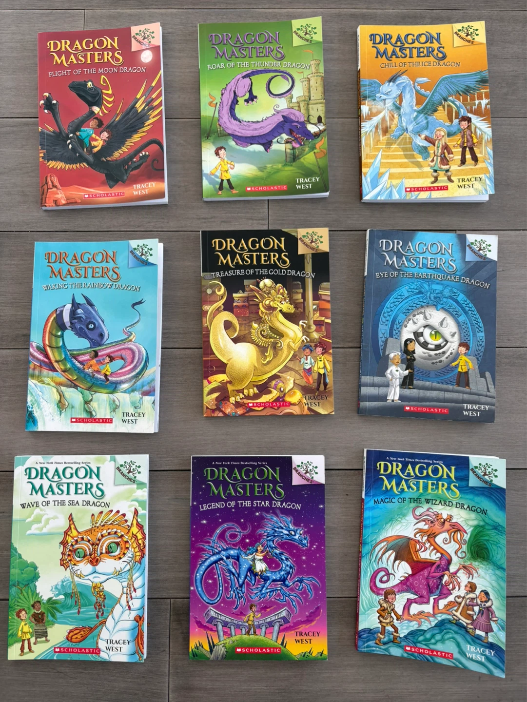 Dragon Masters Book Series by Tracey West