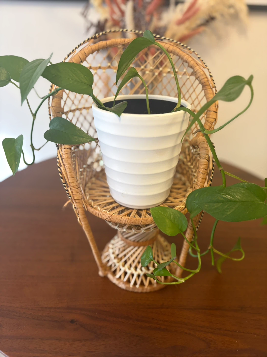 Wicker Peacock Chair Plant Stand