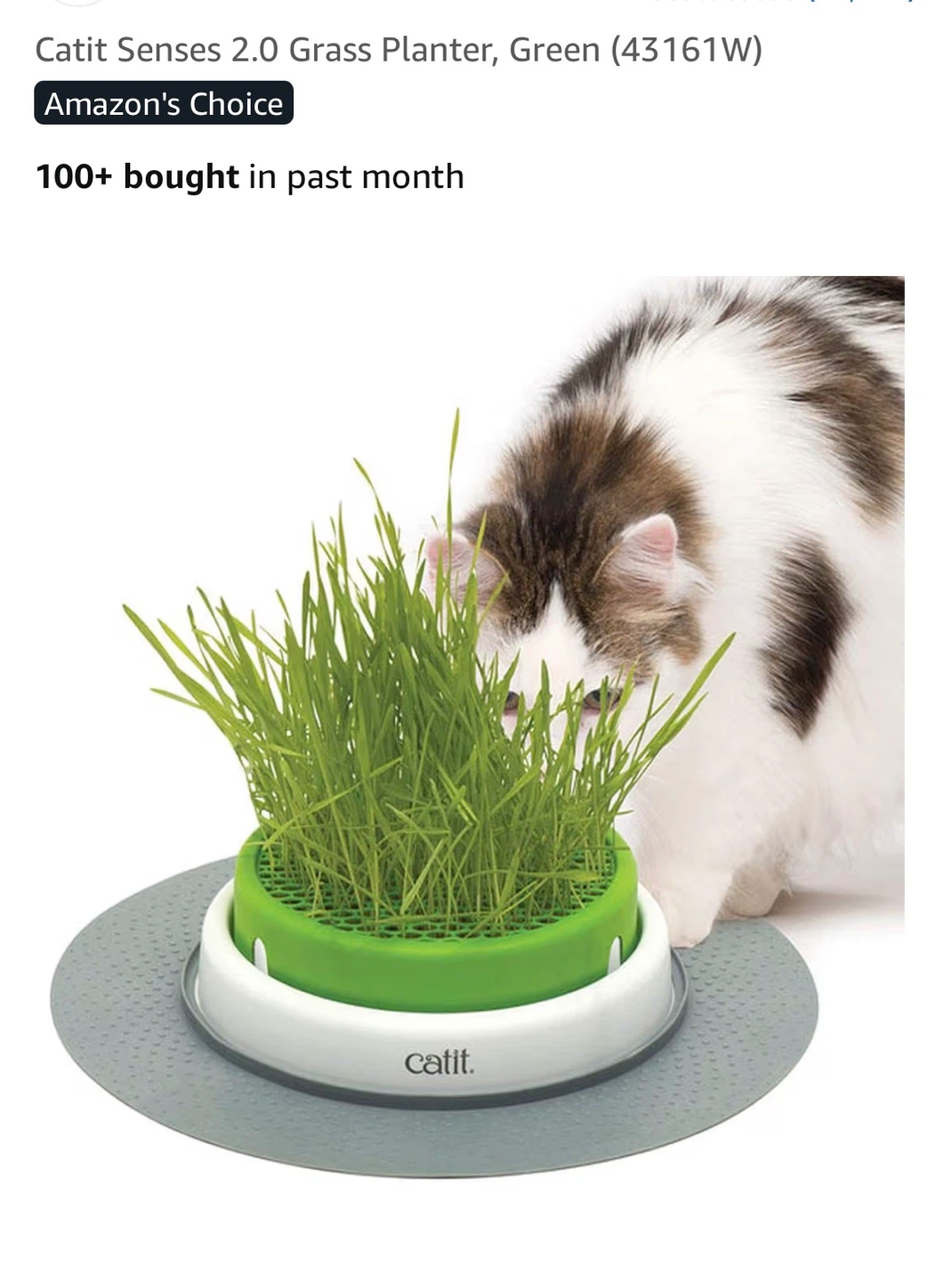 Catit Senses 2.0 Grass Planter - Green