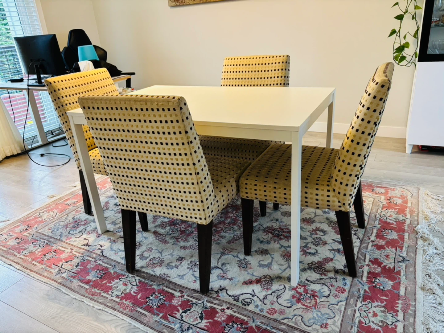 Dining Chairs