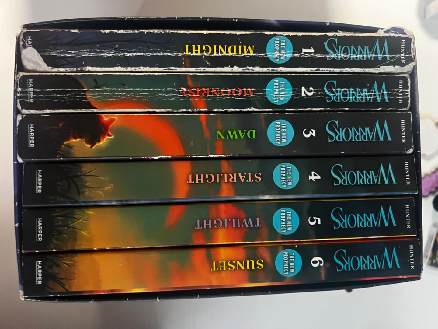Warriors: The Complete Second Series Box Set by Erin Hunter