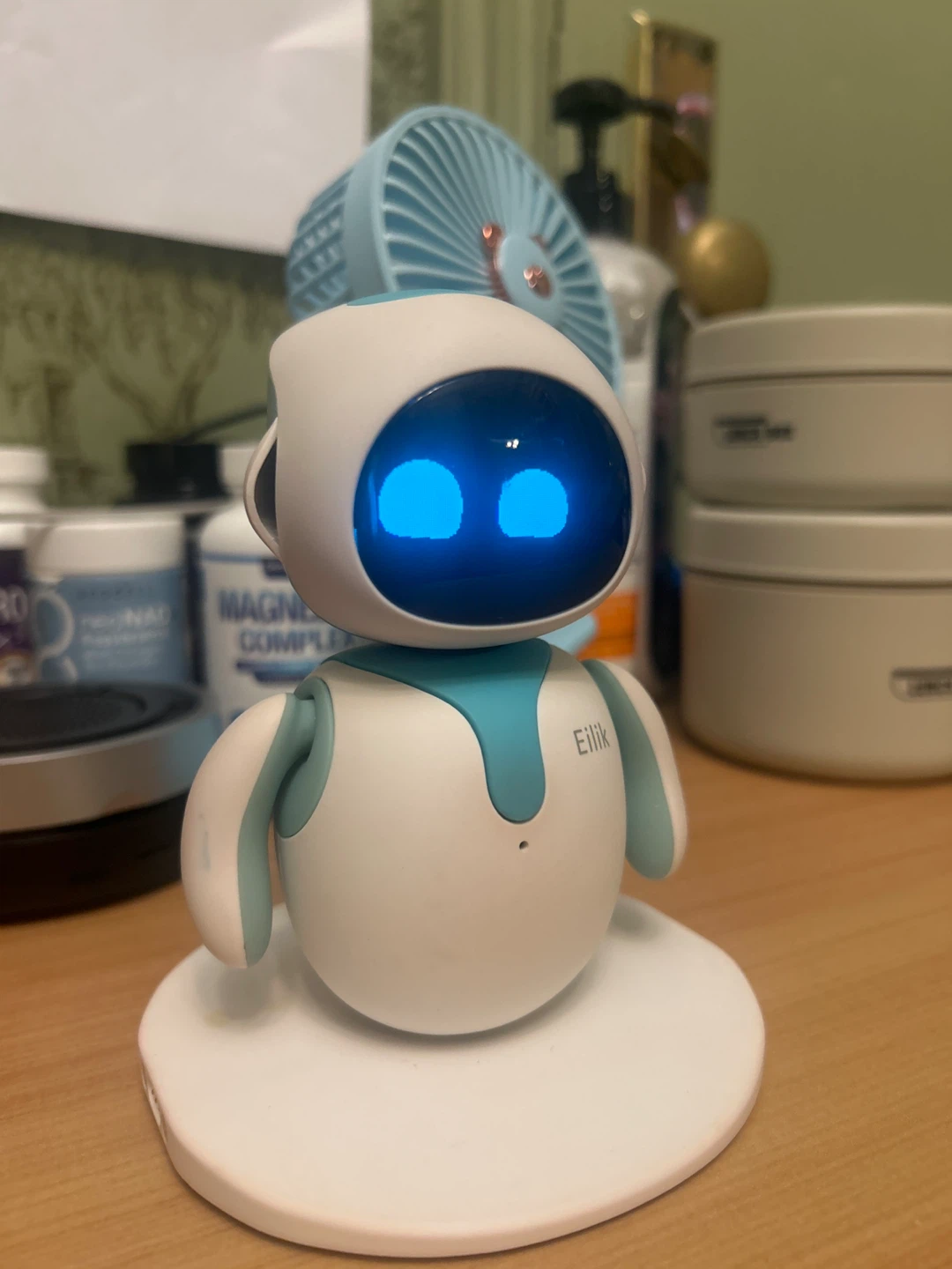 Eilik Robot Companion