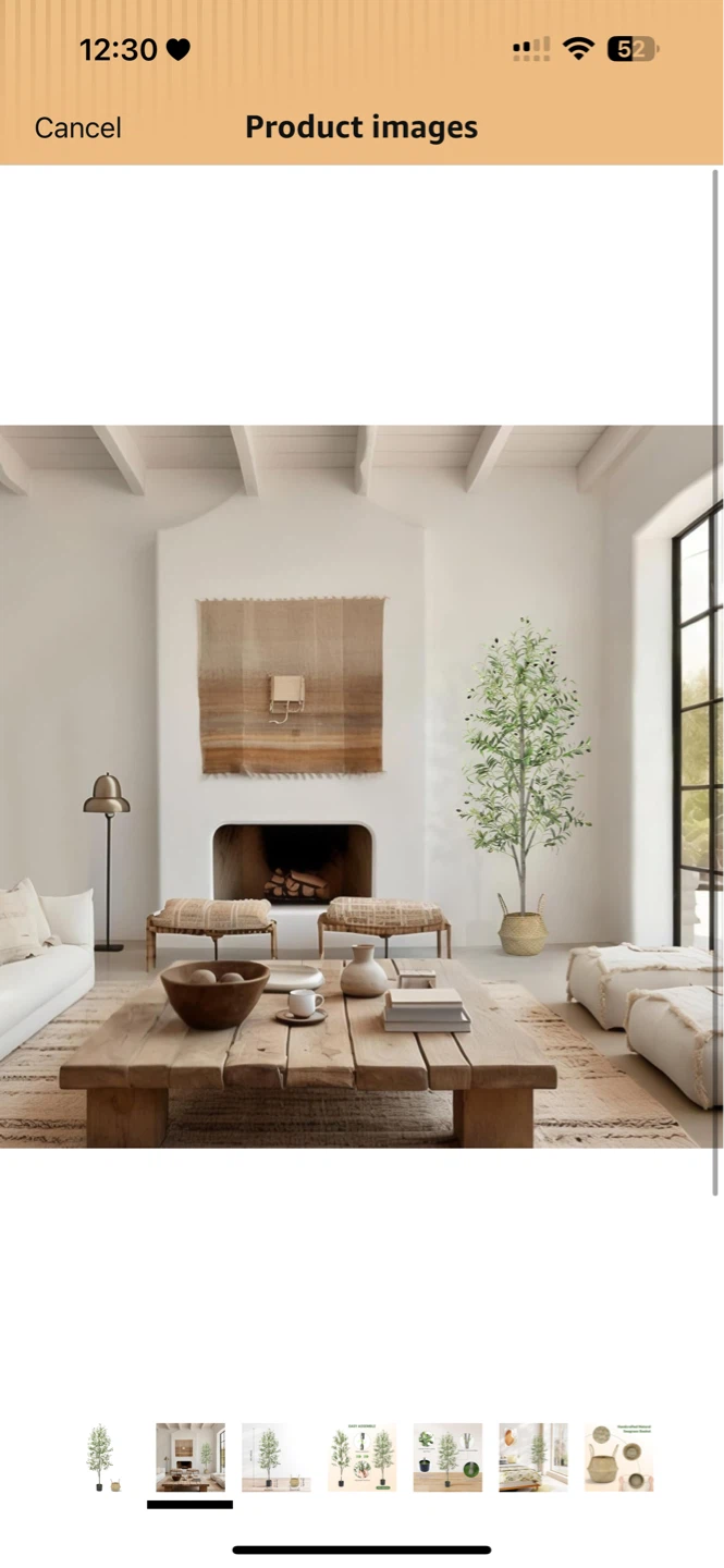 Olive Tree 4ft - photo 2