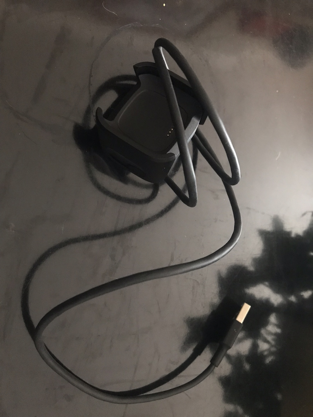 Black Fitbit Versa 2 Charging Cable