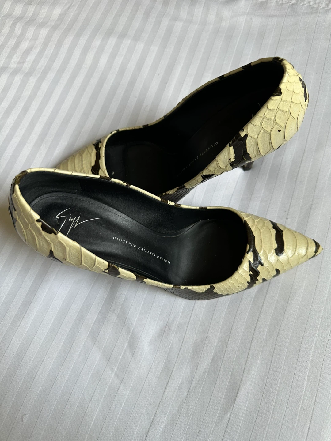 Giuseppe Zanotti