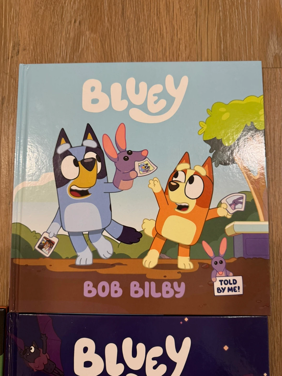 Bluey Hardcover Books x 3