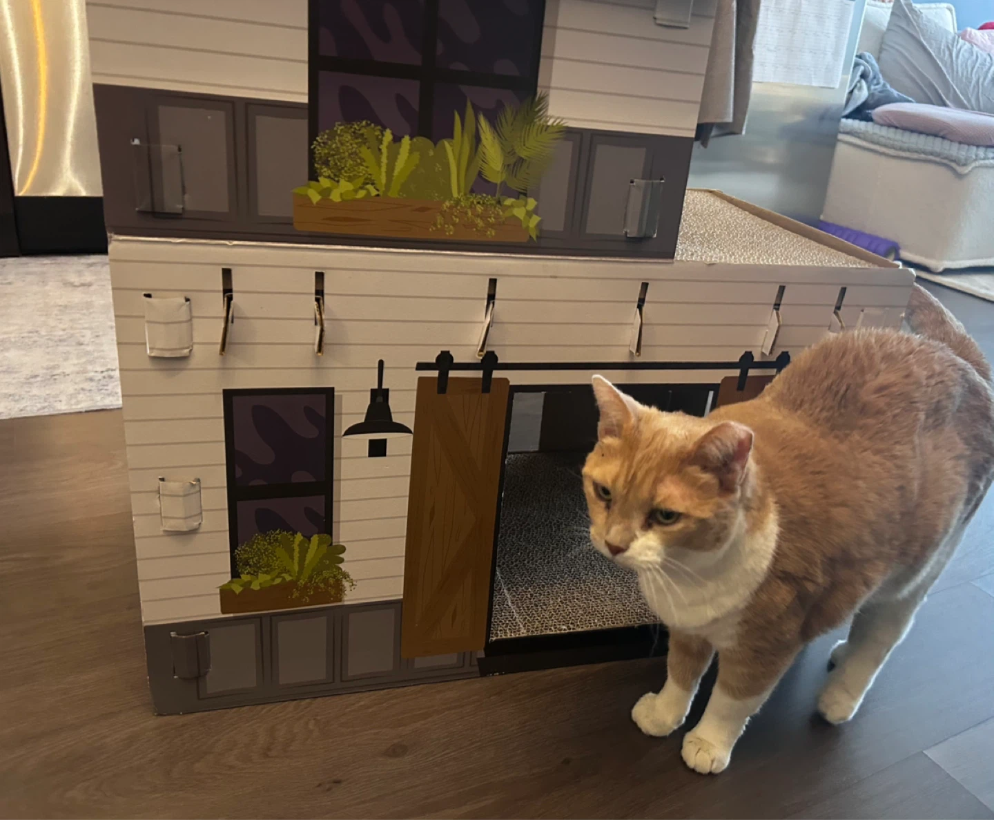 Like NeW Cardboard Cat Scratcher House - photo 2