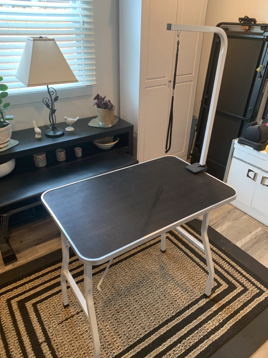 Pet Grooming Table with Arm