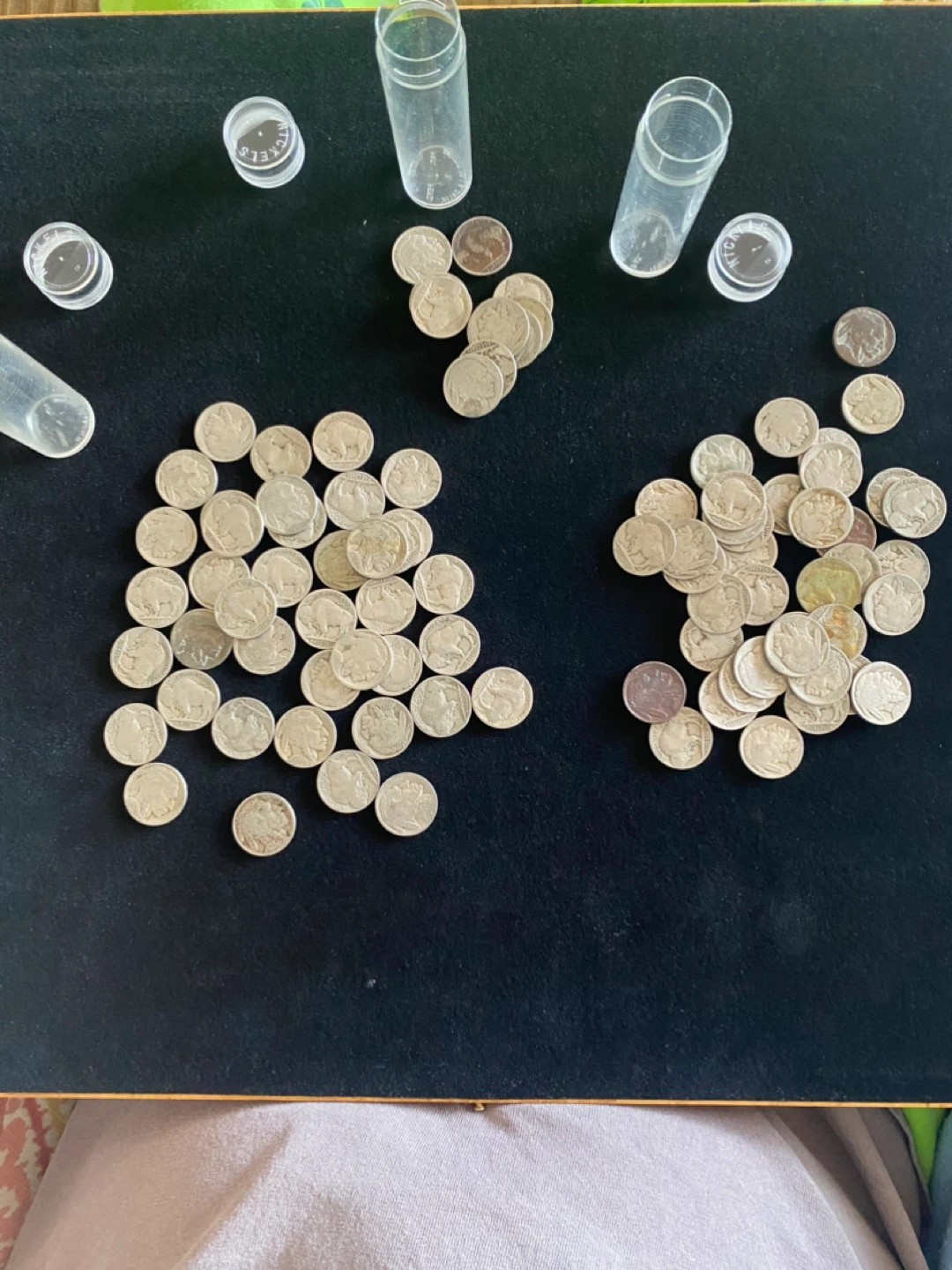 Collection of Buffalo Nickel Coins