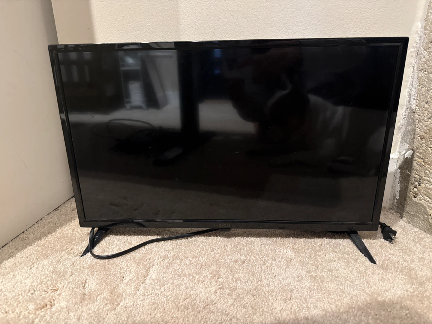 Insignia 24" TV