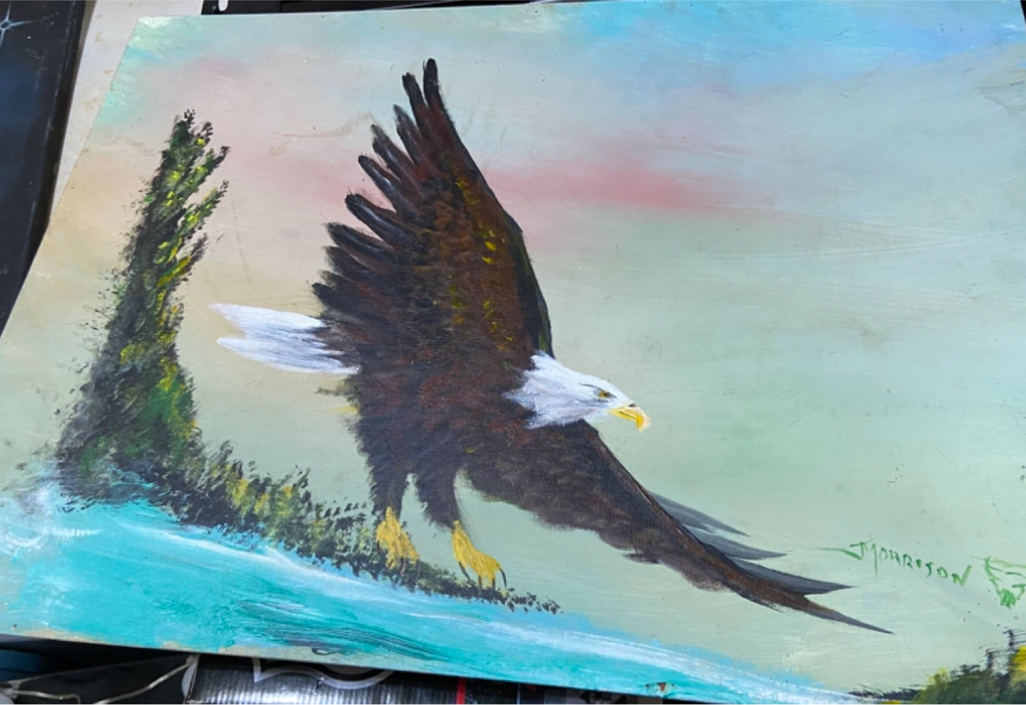 Oil Painting of a Bald Eagle by T. Morrison