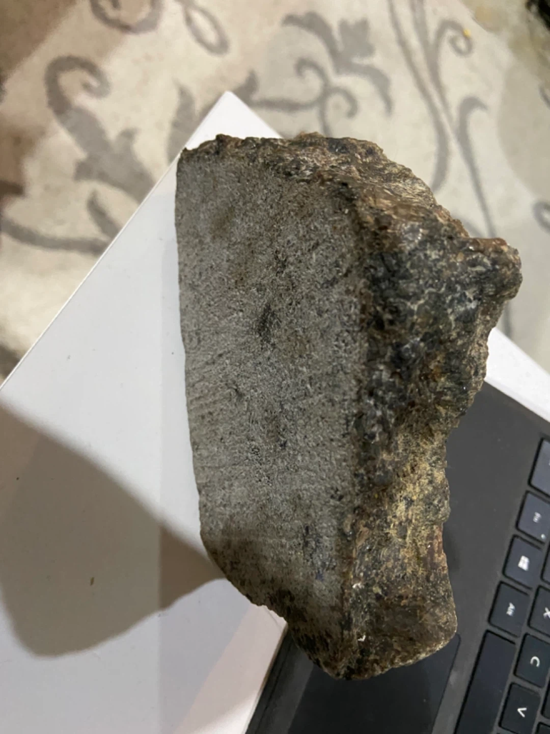 Hand-Painted Stone Eagle Art Piece - photo 4