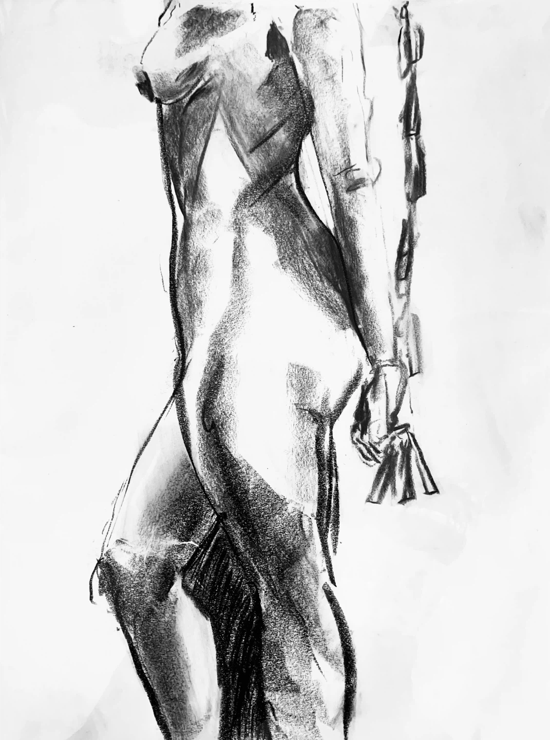 Female Figure Study - Original Charcoal Drawing - 18x24 - photo 2