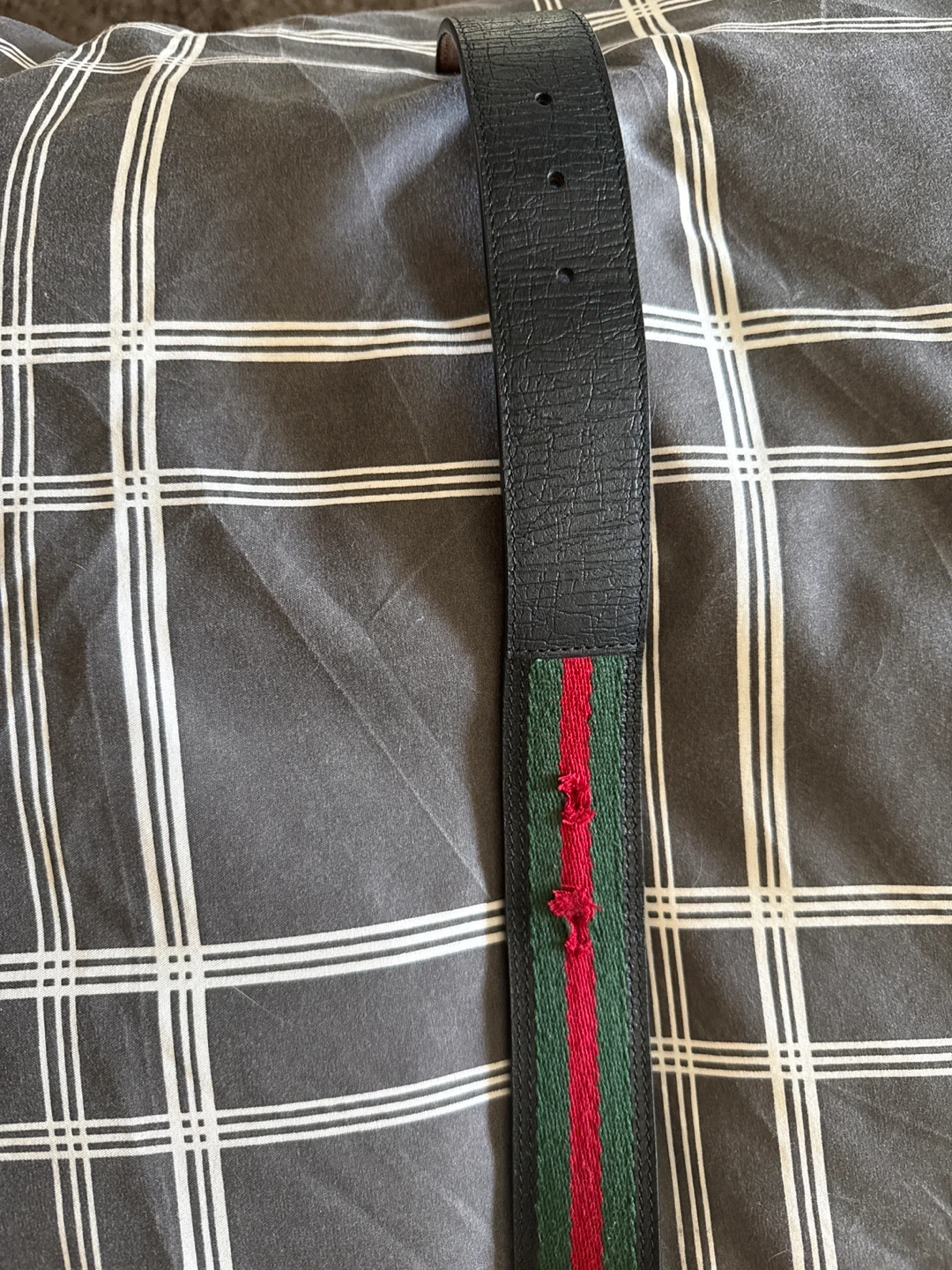 Gucci Web Belt with GG Buckle - photo 3