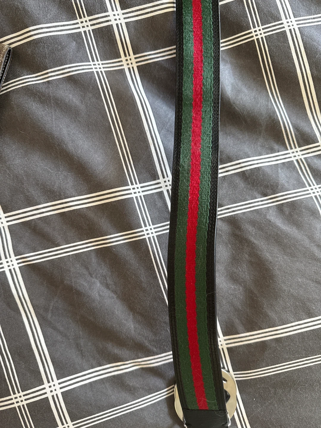 Gucci Web Belt with GG Buckle - photo 2
