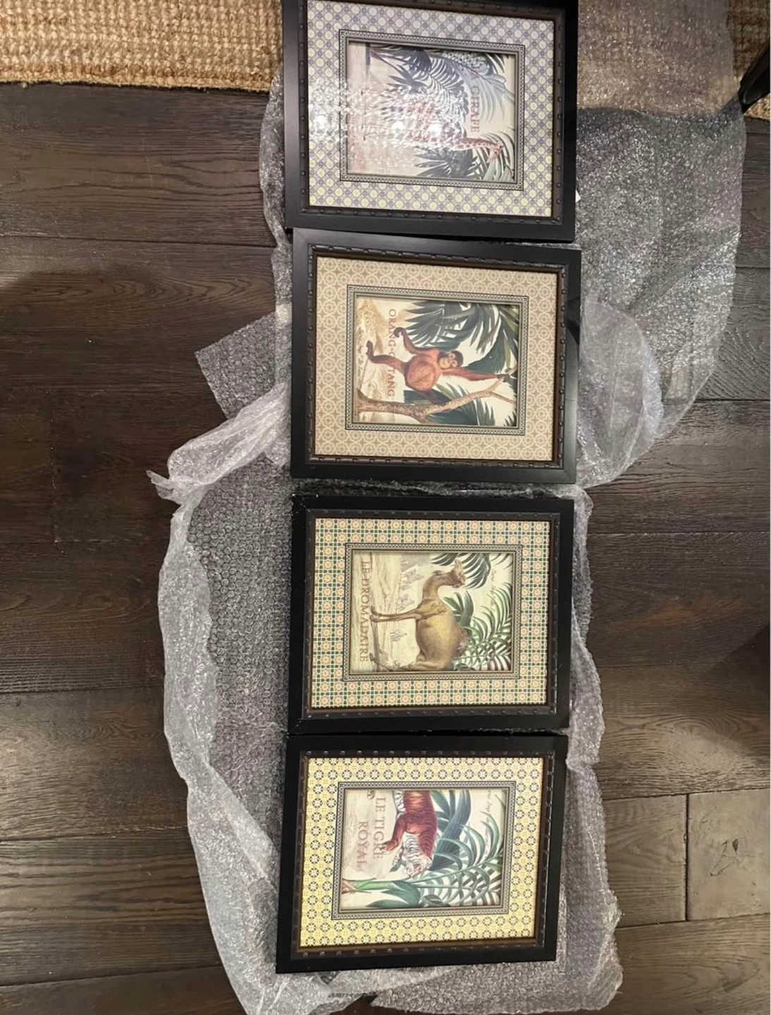 Set of 4 Framed Botanical Prints with Animals