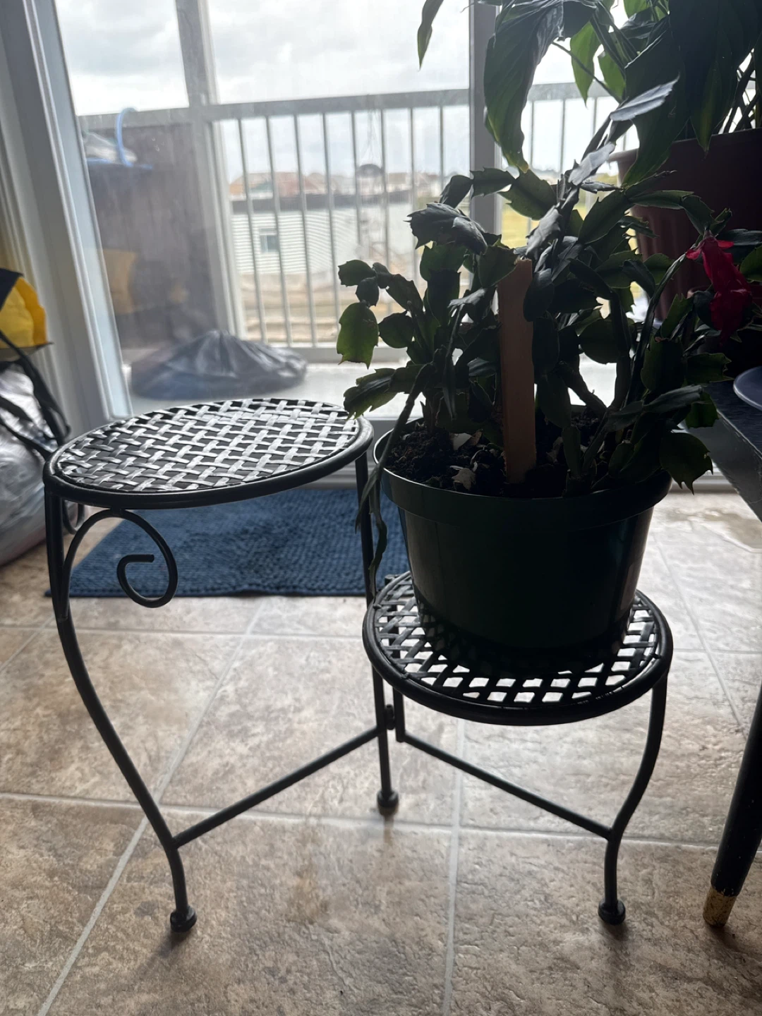 Black Metal Tiered Plant Stand