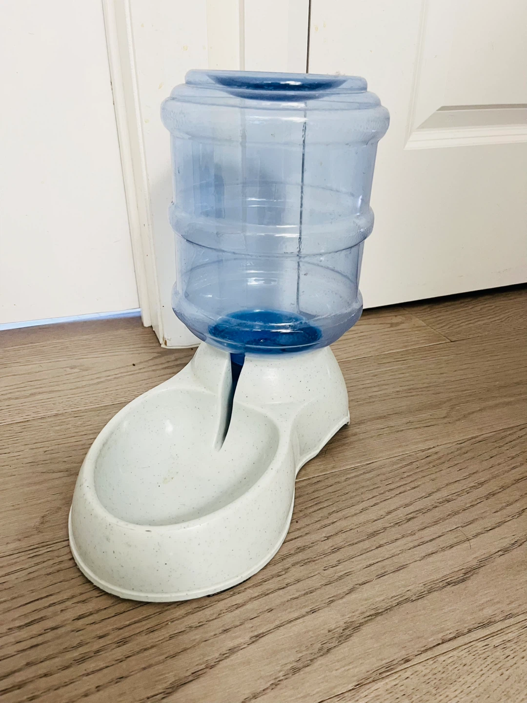 Cat Water Dispenser