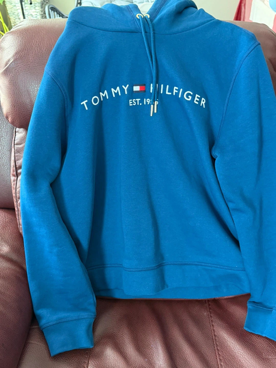 Tommy Hilfiger Blue Hoodie - photo 2