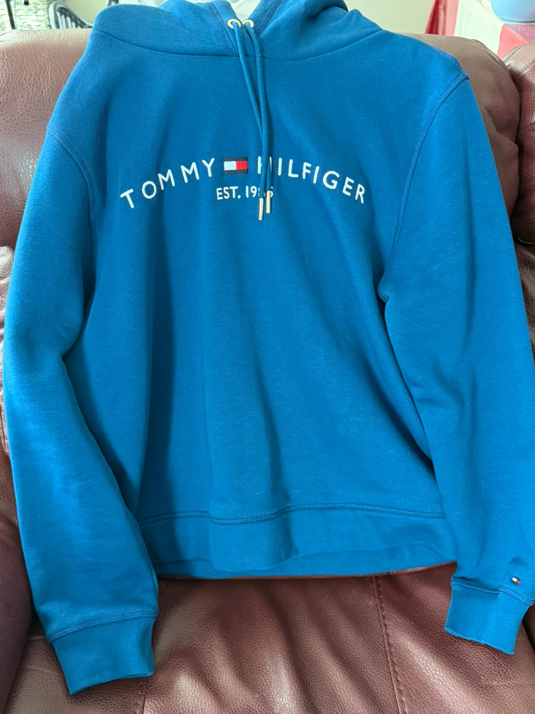 Tommy Hilfiger Blue Hoodie