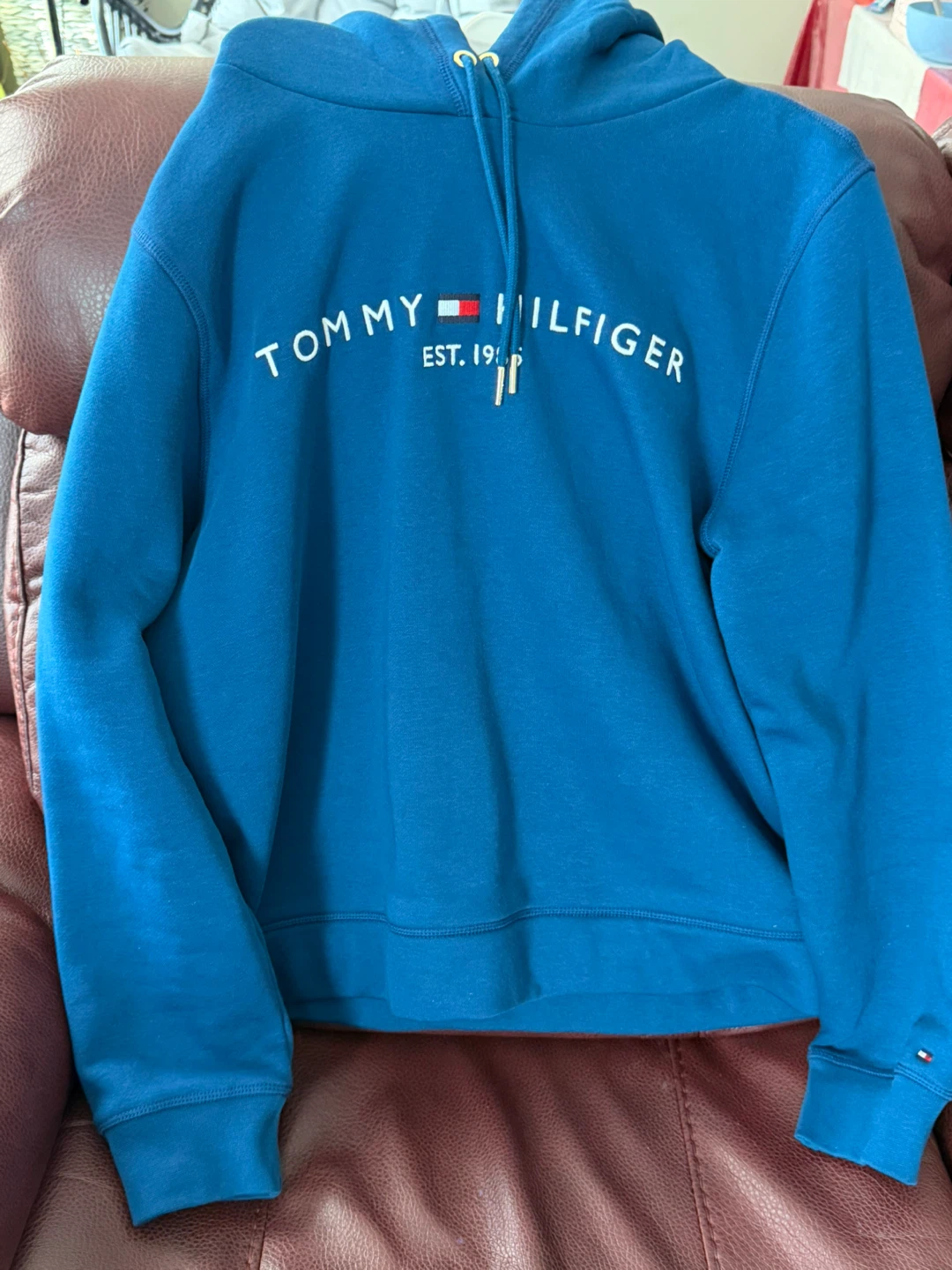 Tommy Hilfiger Blue Hoodie - photo 4