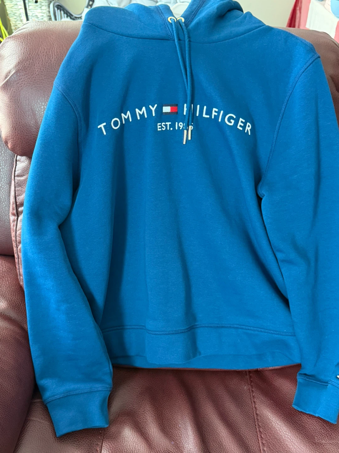 Tommy Hilfiger Blue Hoodie - photo 3