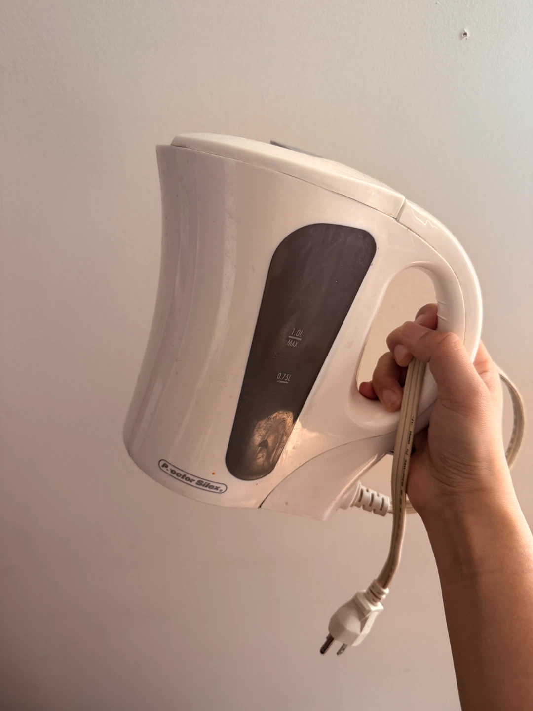 Water Filter Electric Kettle
