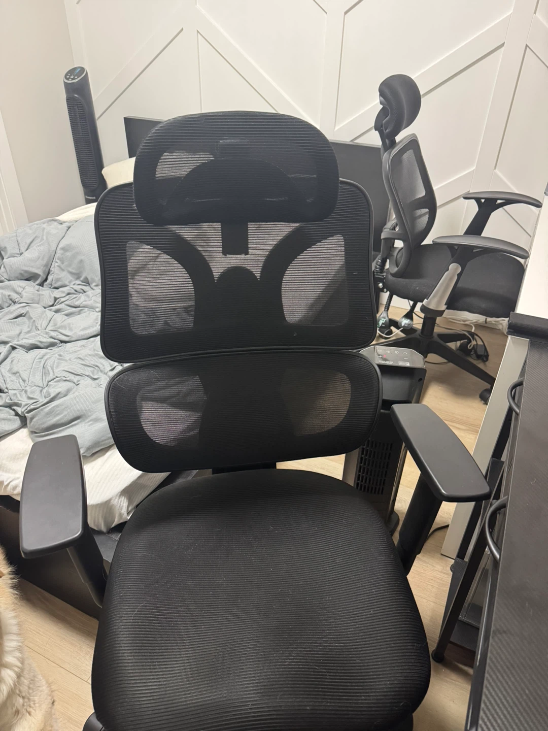 2 Ergonomic Chairs