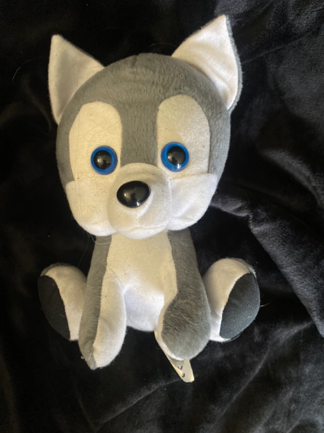 2012 Classic Toy Co. 8” Husky Plush - Big Blue Eyes - Clean