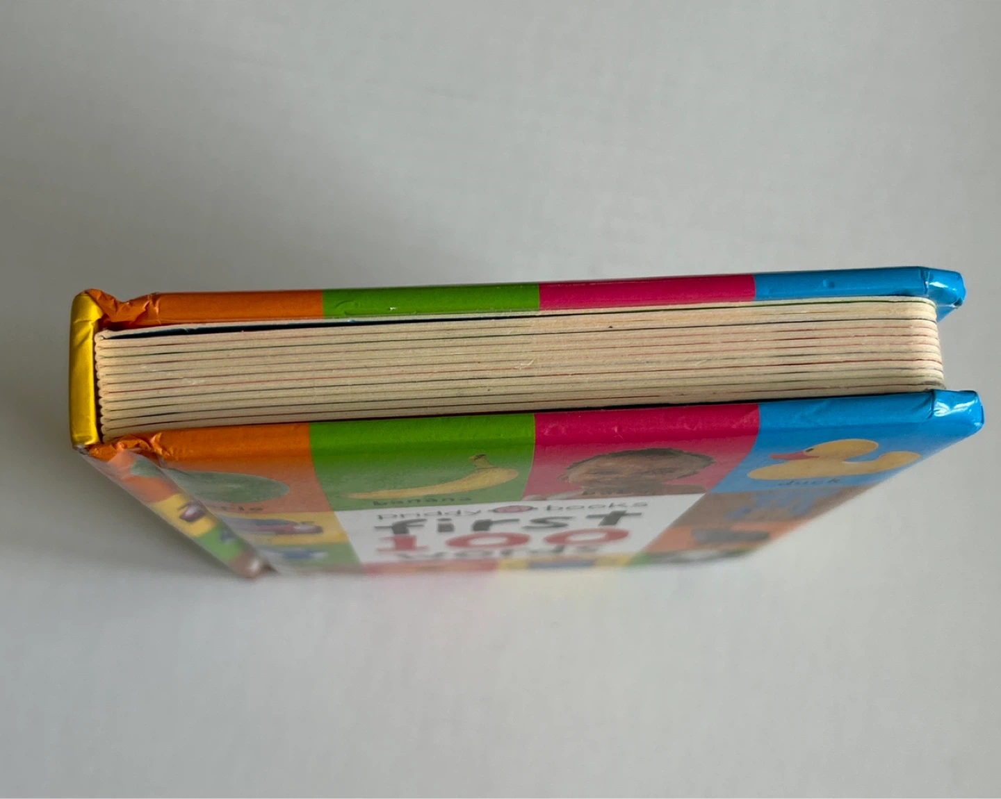 Priddy Books First 100 Words Board Book - photo 5