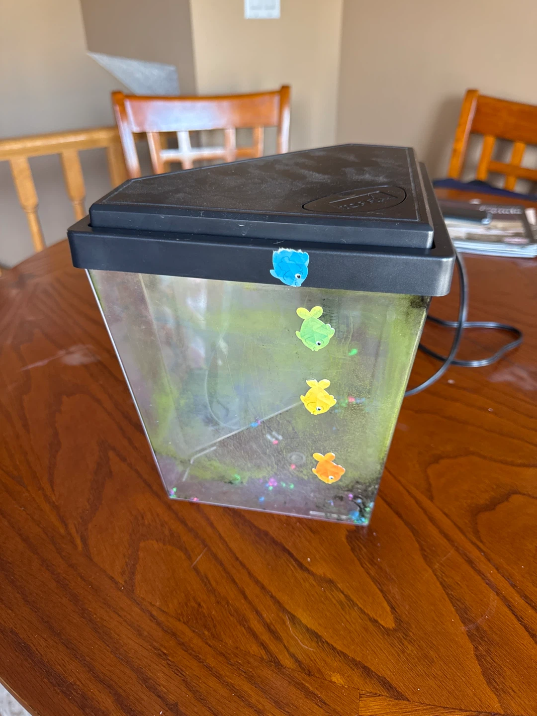 TOP FiN fish tank