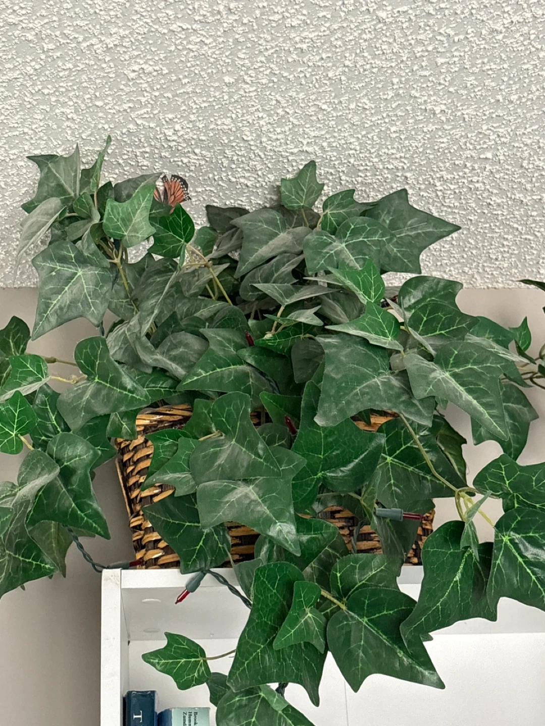 Artificial Ivy Plant in Wicker Basket
